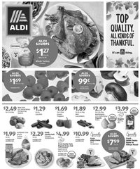 ALDI Weekly Ad 8th – 14th November 2023 page 1 thumbnail