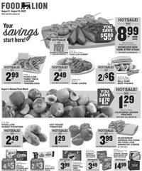 Food Lion Weekly Ad 9th – 15th August 2023 page 1 thumbnail