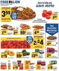 Food Lion Weekly ad 21st – 27th February 2024 page 1 thumbnail