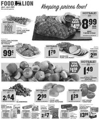 Food Lion Weekly Ad 5th – 11th July 2023 page 1 thumbnail