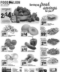 Food Lion Weekly Ad 7th – 13th June 2023 page 1 thumbnail